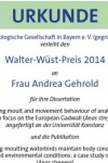 Urkunde Walter-Wüst-Preis 2014 der OGB